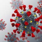 Souche du virus de COVID-19