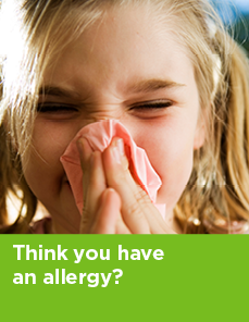 Allergy brochure cover