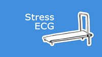 DC-Stress-ECG-EN.png